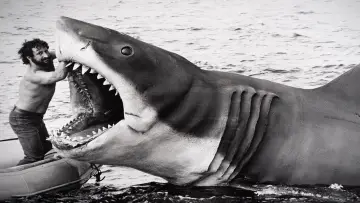 Задник до фильму"Jaws @ 50: The Definitive Inside Story" #680228