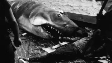 Задник до фильму"Jaws @ 50: The Definitive Inside Story" #680237