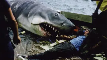 Задник до фильму"Jaws @ 50: The Definitive Inside Story" #680238