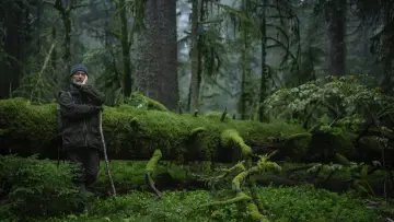 Задник до фильму"Le Chant des forêts" #534636