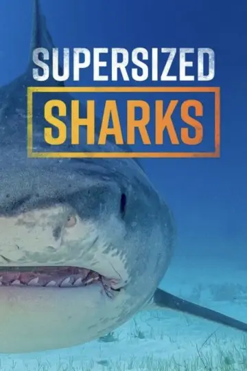 Постер до фильму"Supersized Sharks" #882370