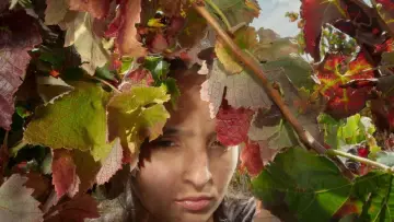 Задник до фильму"Fogo do Vento" #923392