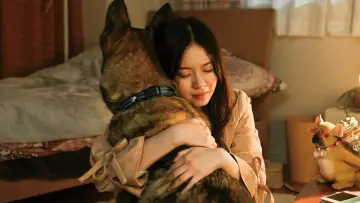 Задник до фильму"少年と犬" #671603