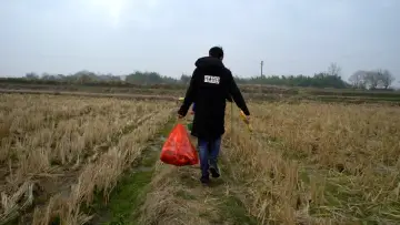 Задник до фільму "青春（归）" #928009