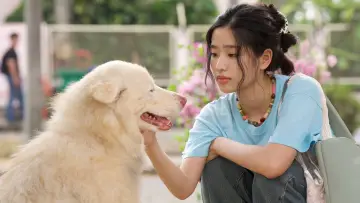 Задник до фільму "โกฮัง..หัวใจโกโฮม" #766290