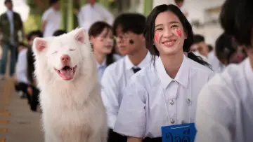 Задник до фільму "โกฮัง..หัวใจโกโฮม" #796482