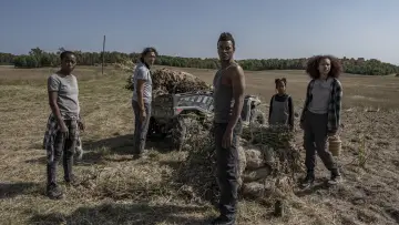 Задник до фильму"40 Acres" #596468