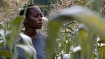 Задник до фильму"40 Acres" #596470