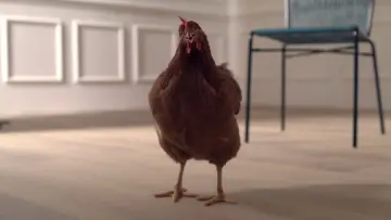 Задник до фильму"L’occhio della Gallina" #882208