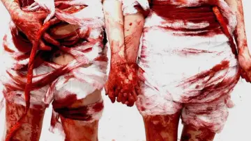Задник до фильму"2 Girls 1 Gut" #882093