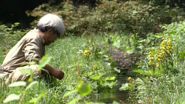 Задник до фільму "Miyazaki, l