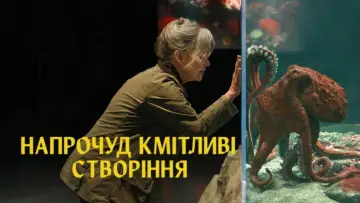 Задник до фильму"Напрочуд кмітливі створіння" #814736