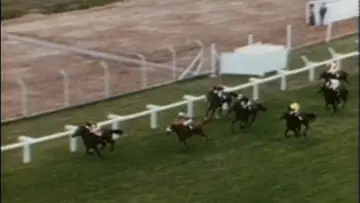 Задник до фильму"Punters" #743743