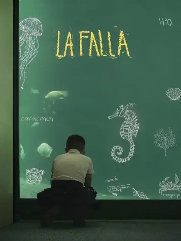 Постер до фильму"La falla" #1175552