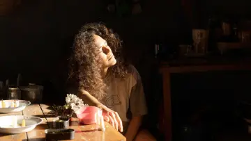 O Silêncio das Ostras постер