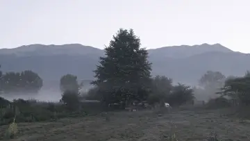 Задник до фильму"Ο Τελευταίος Νομάς" #794043