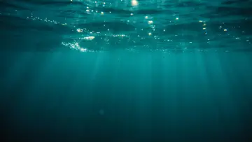 Задник до фильму"At Sea" #786894