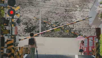 Задник до фильму"秒速5センチメートル" #531726