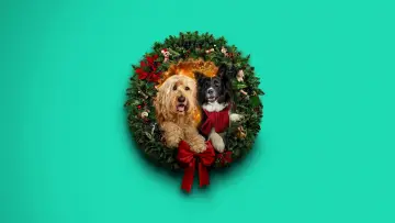 Задник до фильму"Happy Howlidays" #931397