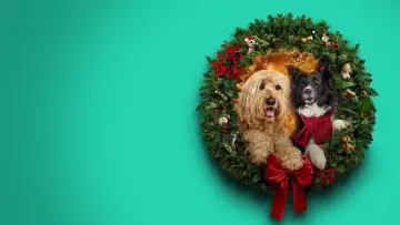 Задник до фильму"Happy Howlidays" #931399