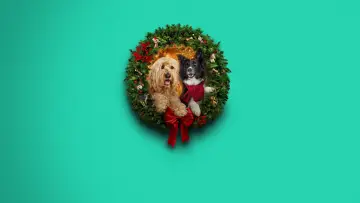 Задник до фильму"Happy Howlidays" #931400