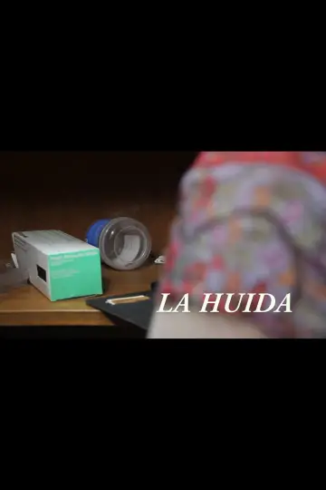 La huida постер