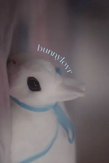 Постер до фильму"Bunnylovr" #1210652