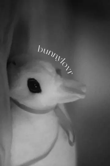 Постер до фильму"Bunnylovr" #1210653