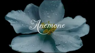 Задник до фильму"Анемона" #518915