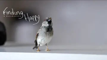 Задник до фільму "Finding Happy" #1574878