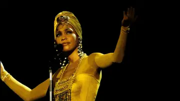 Задник до фільму "Whitney Houston: The Concert for a New South Africa (Durban)" #1842608