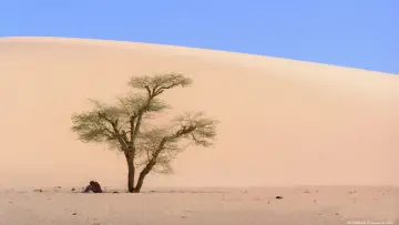 Задник до фільму "Fin de viaje, Sahara" #1765687