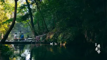 Задник до фільму "飞来峰" #881064