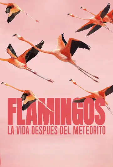 Постер до фільму "Flamingos: La vida después del meteorito" #772284