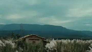 রইদ постер