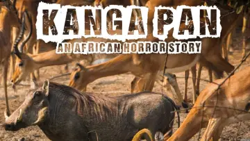 Задник до фильму"Disparitions autour du Kanga Pan" #1157656