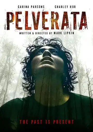 Постер до фильму"Pelverata" #936598