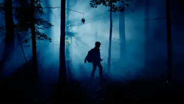 Задник до фільму "The Wildman of Shaggy Creek" #630950