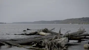 Задник до фильму"Smallpox Island" #965246