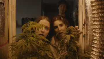 Задник до фильму"Verano Trippin" #698066