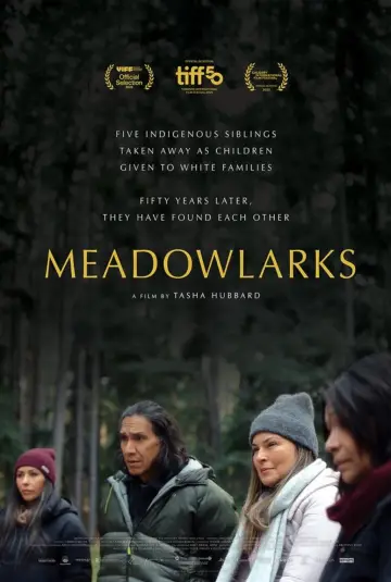 Постер до фільму "Meadowlarks" #623416