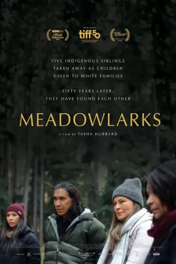 Постер до фільму "Meadowlarks" #623420