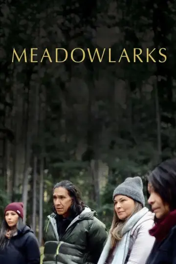 Постер до фільму "Meadowlarks" #842463