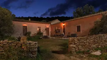 Задник до фільму "La vita va così" #1625895