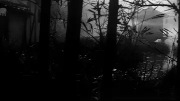 Задник до фільму "怪猫　呪いの沼" #1623275
