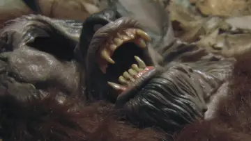 Задник до фильму"Dogman" #1081540