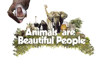 Задник до фильму"Animals Are Beautiful People" #1175239