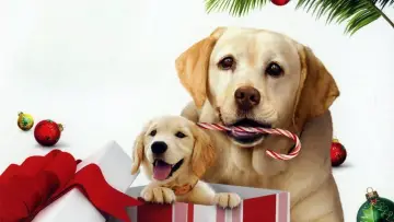 Задник до фильму"The Dog Who Saved the Holidays" #1004015