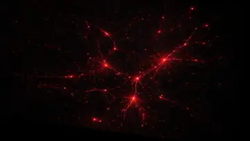 Задник до фильму"Serena" #769988