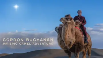 Задник до фільму "My Epic Camel Adventure With Gordon Buchanan" #982004